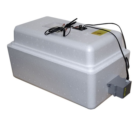 Инкубатор 36 яиц авт. поворот аналоговый терморегулятор с циф. индик. 12В (74)